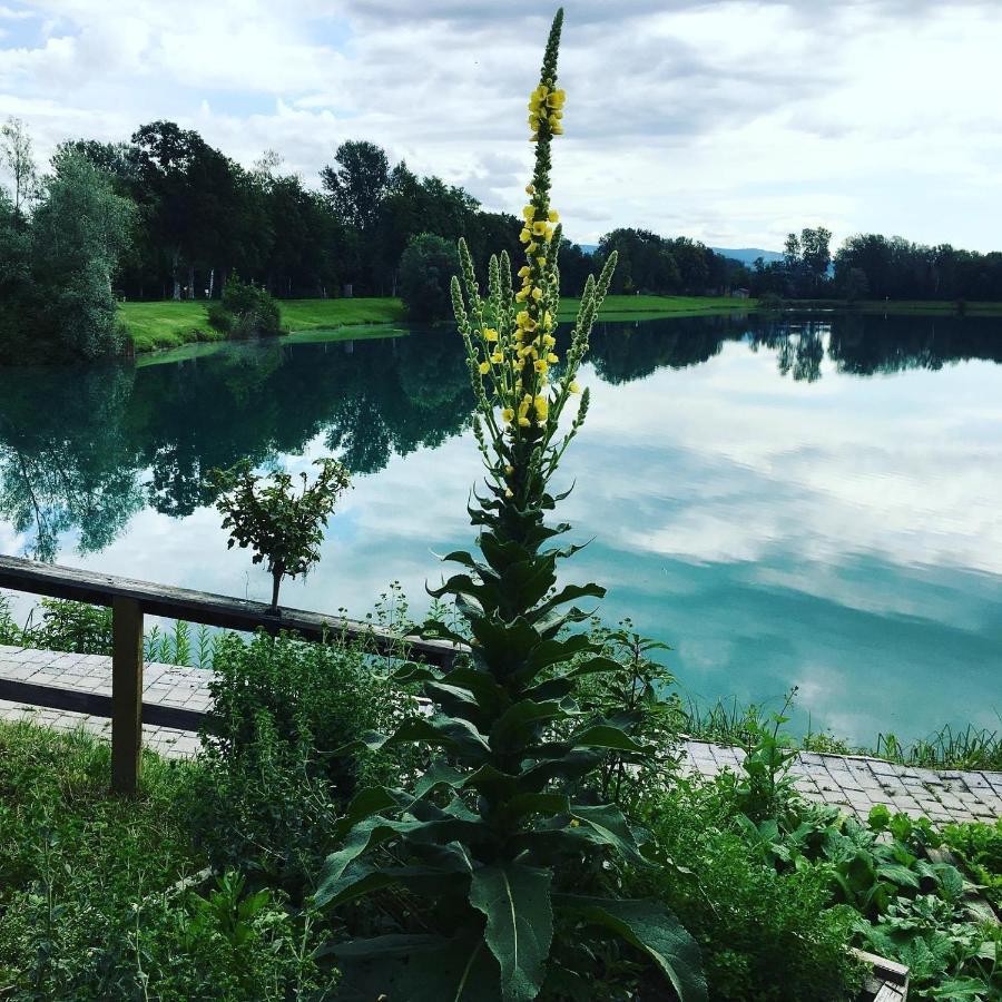 Apartmán Heurigenbar Feldkirchen an der Donau Exteriér fotografie